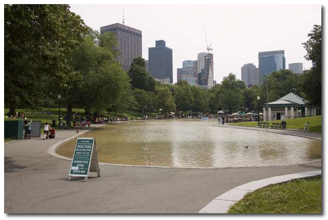 Boston Common Frog Pond